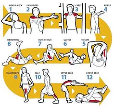 a poster showing how to do exercises for back pain