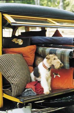 a dog sitting in the back of an old car with pillows and blankets on it