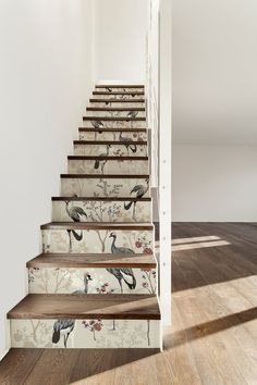 a stair case with birds painted on it and wood flooring in front of white walls