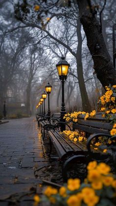 a row of park benches sitting next to yellow flowers