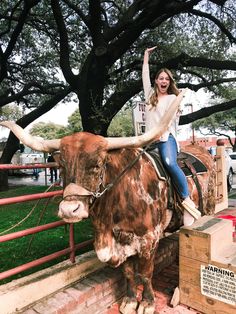 a woman riding on the back of a brown cow next to a wooden box and tree