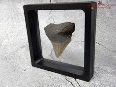 a rock in a small black frame on the ground with an animal's head sticking out of it