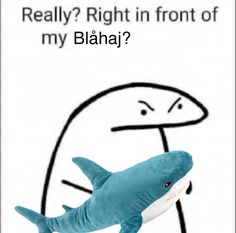 a stuffed shark with the caption really right in front of my blaha?