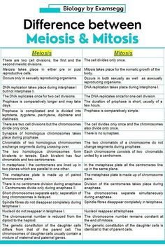 the differences between meliosis and mitosis are shown in this text book