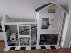 a cat house with two cats inside and one on the floor in front of it