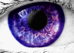 . Eyes Without A Face, Amber Eyes, Photos Of Eyes, Violet Eyes, Female Eyes, Purple Reign, Human Eye