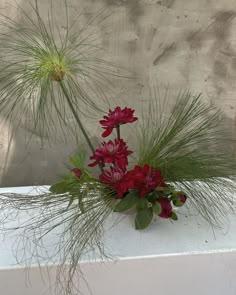 a vase filled with red flowers sitting on top of a window sill next to tall grass