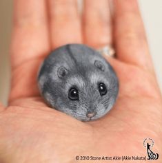 a small gray hamster sitting on top of someone's hand with it's eyes wide open