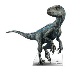 an image of a dinosaur that is standing on a white background and looking at the camera