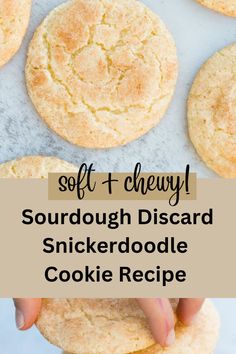 soft and chewy snickerdoodles on a pan Cherry Sourdough, Sourdough Discard Cookies, Discard Cookies, Easy Homemade Cookie Recipes, Snickerdoodle Cookie Recipe, Sourdough Discard Recipes, Easy Homemade Cookies, Snickerdoodle Cookie, Sourdough Starter Discard Recipe