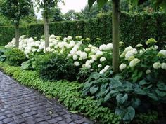 white flowers and greenery line the walkway in this garden area with brick pavers