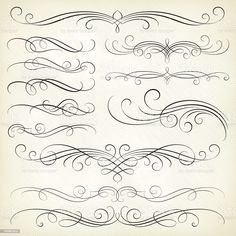 a set of hand drawn swirls and scrolls in black ink on white paper stock photo