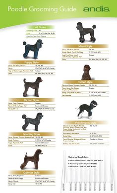 the poodle grooming guide for dogs is shown in this page, which shows how to