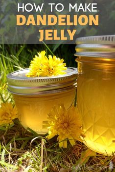 three jars filled with yellow liquid sitting on the ground next to some dandelions