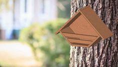 a wooden box attached to the side of a tree