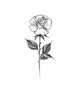 a black and white drawing of a rose