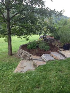 a stone wall and tree in the middle of a field