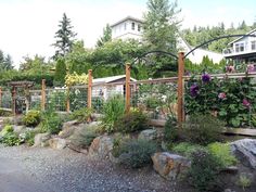 an outdoor garden with rocks and plants