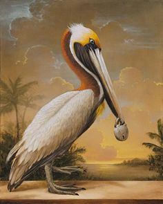 a painting of a pelican holding a ball in it's beak, with palm trees in the background