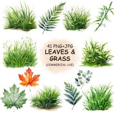 watercolor leaves and grass clipart