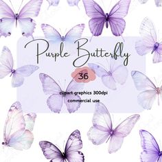 purple butterflies with the words purple butterfly on it's back and in front of them are