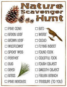 a nature scavenger hunt is shown with pine cones and a bird on it