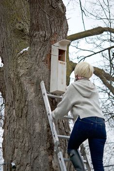 a woman climbing up a ladder next to a tree with a bird house in it