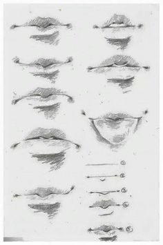 a drawing of different shapes and sizes of the eyeliners on a sheet of paper