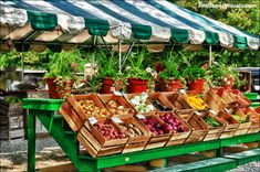 many different types of vegetables are on display at an outdoor market with green awnings