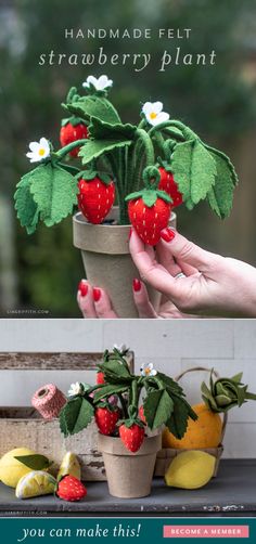 strawberries and lemons are placed in small pots on the table with text that reads handmade felt strawberry plant you can make this