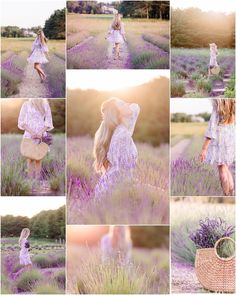 a collage of lavender fields with the sun shining