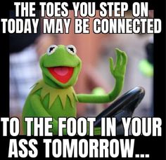 kermie the frog sitting on top of a car with caption that reads, the toes you step on today may be connected to the foot in your as tomorrow