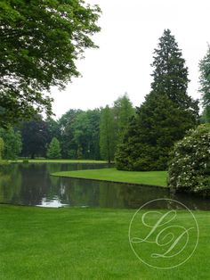 a pond in the middle of a lush green park