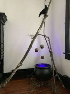 a black bird sitting on top of a tree branch next to a blue bowl and mirror