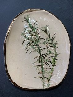 a white plate with some green plants on it