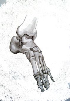 a drawing of a human foot with bones exposed