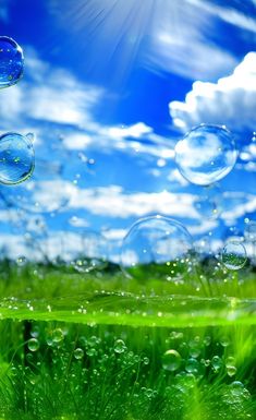 soap bubbles are floating in the air over green grass and blue sky with white clouds