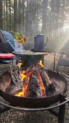 a fire pit sitting in the middle of a forest