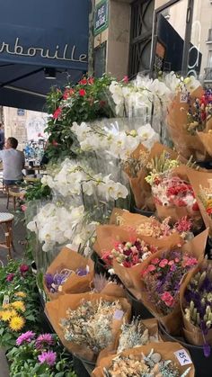 many different types of flowers are on display in front of a storefront with the words moodboard 1 written above them