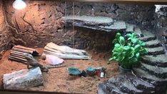 an aquarium filled with rocks and plants next to a stone staircase leading up to a cave