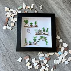 a shadow box filled with different types of rocks and plants on top of a wooden floor