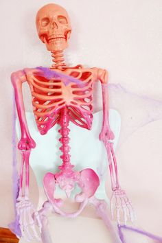 a human skeleton is shown with pink and purple hair