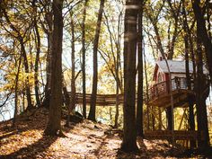 a tree house in the woods surrounded by trees with leaves on the ground and foliage around it