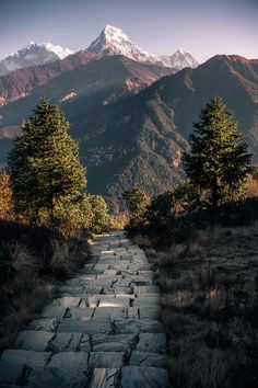 a stone path leading to the top of a mountain with snow capped mountains in the background