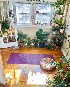 a yoga mat in the middle of a room with potted plants on the windowsill