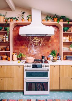 a stove top oven sitting inside of a kitchen next to wooden shelves filled with potted plants