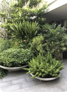 two large planters sitting next to each other in front of a building with trees