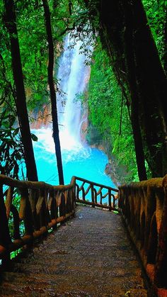 a wooden walkway leading to a waterfall in the woods next to a blue body of water