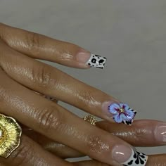 Gold Chrome Nails, Bell Gardens, Hard Nails, Claw Nails, Long Acrylic Nails Coffin, Pearl Nails, Long Square Acrylic Nails