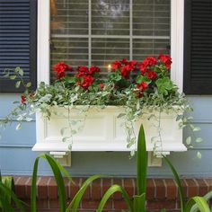 a window box filled with red flowers and greenery